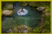 A wedding dress turns into a water lily at a trash the dress session